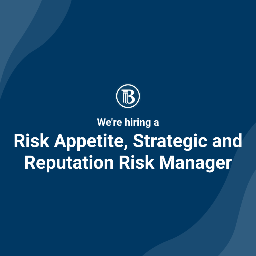 Risk Appetite, Strategic and Reputation Risk Manager