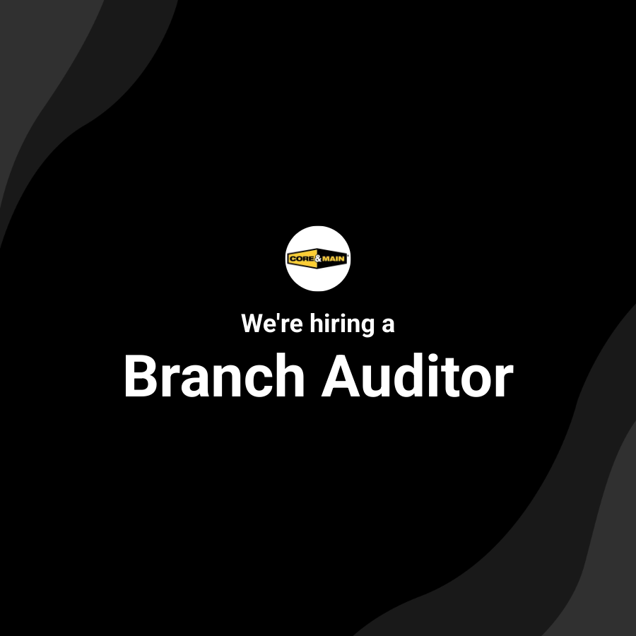 Branch Auditor